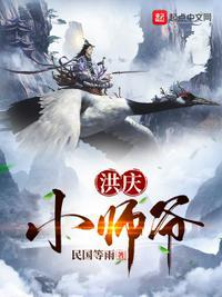 洪庆小师爷封面