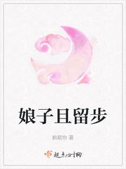 娘子且留步封面