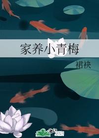 家养小青梅封面
