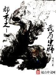 都市之我为宗师封面