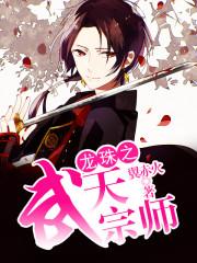 龙珠之武天宗师封面
