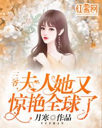三爷，夫人她又惊艳全球了叶萌墨锦城封面