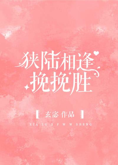 狭陆相逢挽挽胜封面