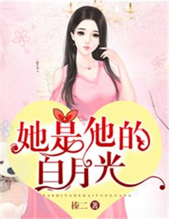 她是他的白月光封面