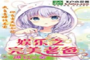 完美老爸之全能天王封面