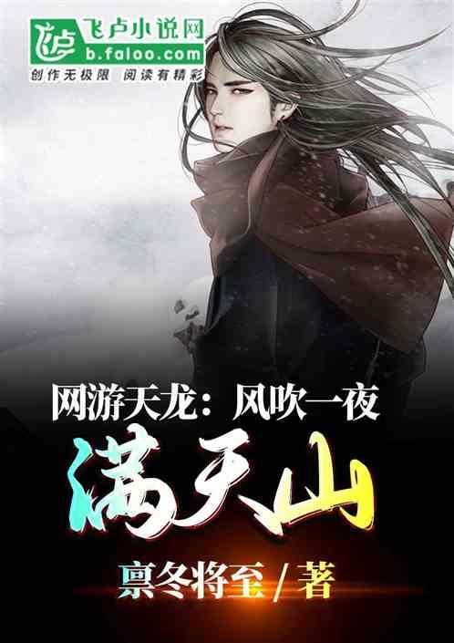 网游天龙：风吹一夜满天山。封面