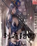 刺痛轮回封面
