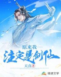 原来我注定是剑仙封面