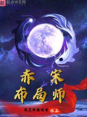 赤宋布局师封面