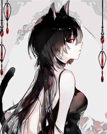 朝花惜时愿少年明媚如昨封面