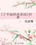[了不起的盖茨比]旧梦封面