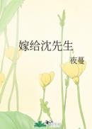 嫁给沈先生封面