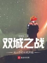 双城之战从一个打火机开始封面