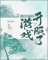 我穿越的游戏开服了封面