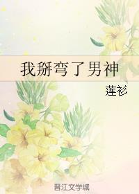 我掰弯了男神封面