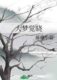 大梦觉晓封面