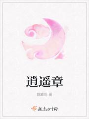 逍遥章封面