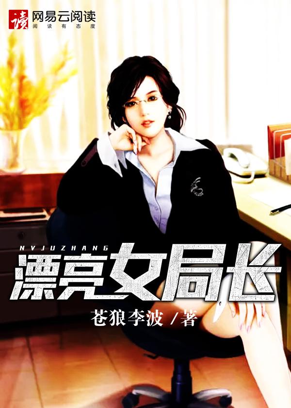 博弈局中局：漂亮女局长封面