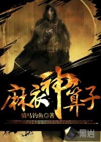 麻衣神算子封面