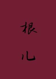 根儿(ai)封面