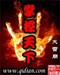 掌控天下封面
