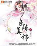 良辰美锦封面