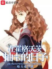 在霍格沃茨抽卡的日子封面