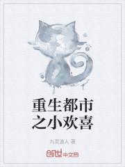 重生都市之小欢喜封面