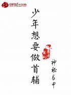 少年想要做首辅封面
