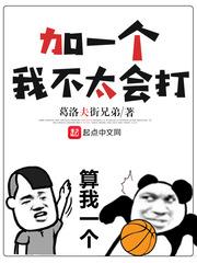 加一个，我不太会打封面