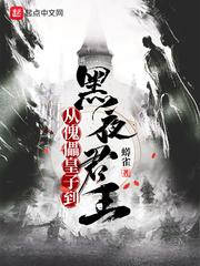 从傀儡皇子到黑夜君王封面