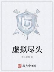 虚拟尽头封面