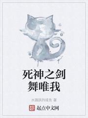 死神之剑舞唯我封面