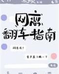 网恋翻车指南封面