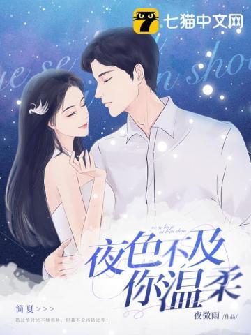 夜色不及你温柔封面