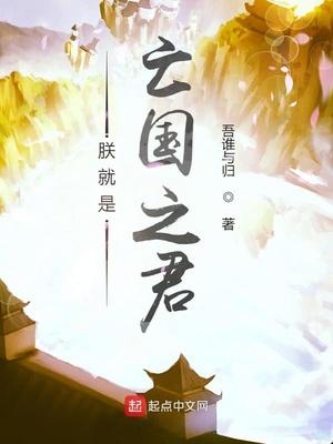 朕就是亡国之君封面