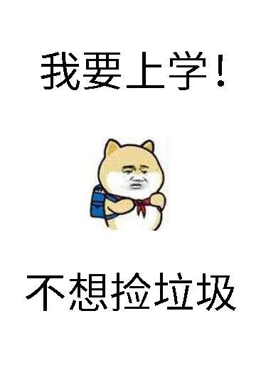 砸锅卖铁去上学封面