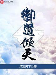 御道倾天封面