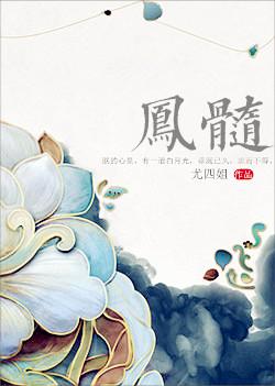 凤髓封面