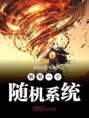 我有一个随机系统封面
