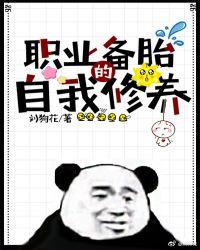 职业备胎的自我修养封面
