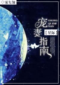 星际之宠妻指南封面