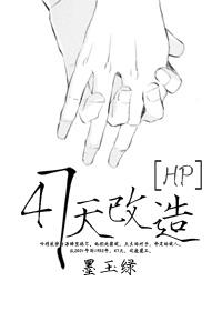 [HP]47天改造封面