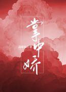 掌中娇封面