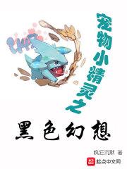 精灵之黑色幻想封面