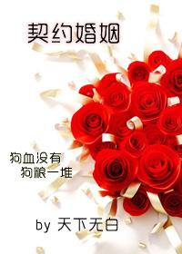契约婚姻封面