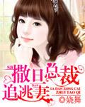 撒旦总裁追逃妻封面