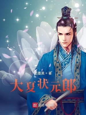 大夏状元郎封面