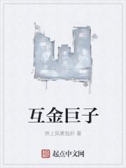 互金巨子 桥上风景独好封面