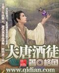 大唐酒徒封面